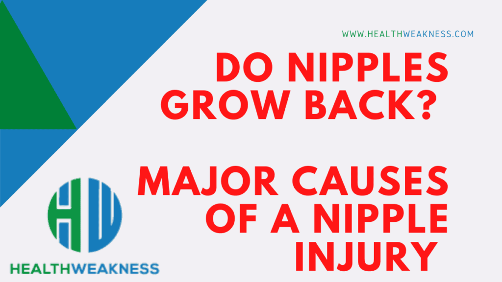 Do Nipples grow back