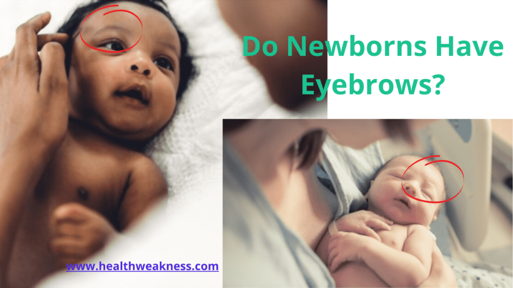 Do newborns have Eyebrows