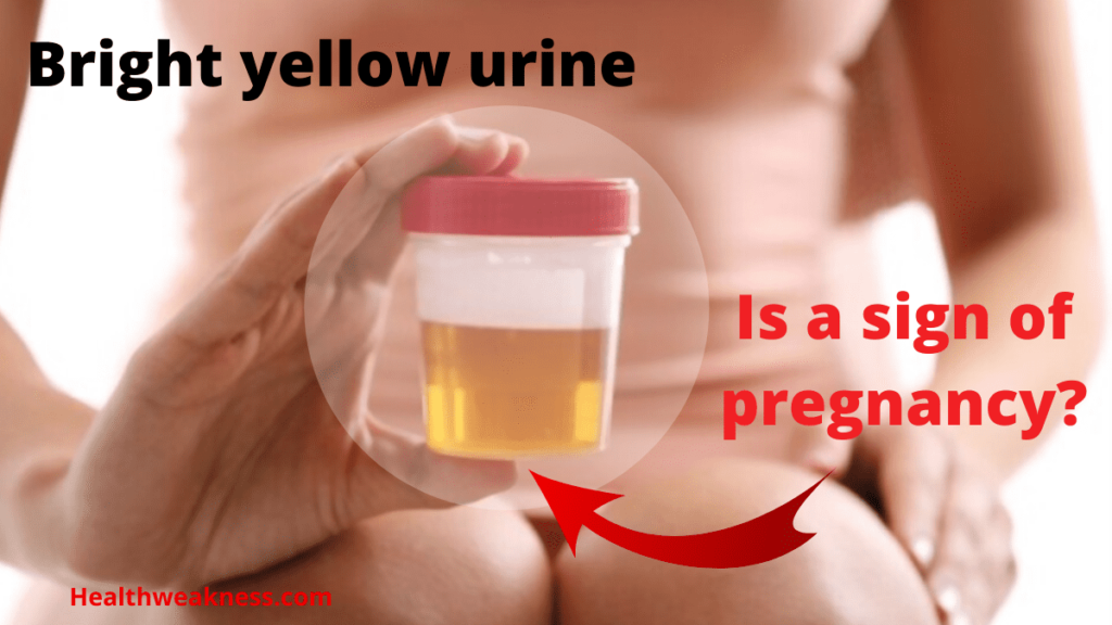 Bright yellow urine an early pregnancy sign