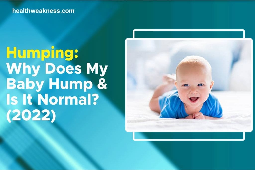 Humping Why Does My Baby Hump And Is It Normal? 2022